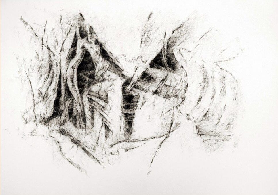 Zeichnung Kohle, Pittkreide auf Papier - Michaela Schleunung