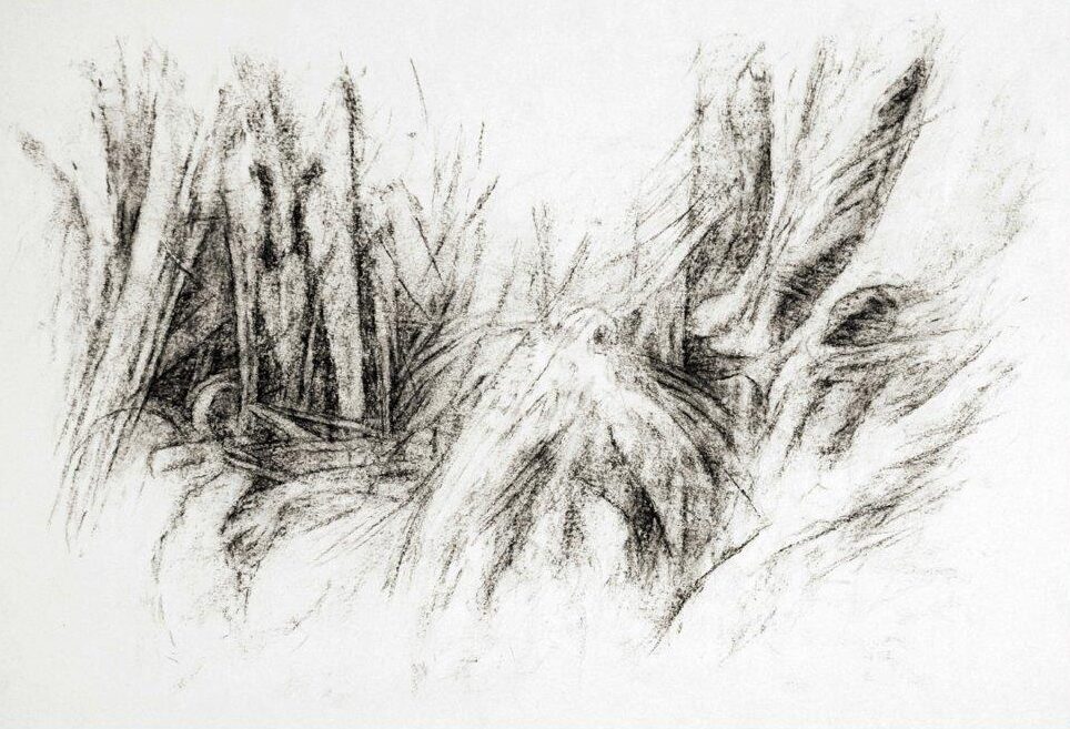 Arbeiten auf Papier - Michaela Schleunung 2018