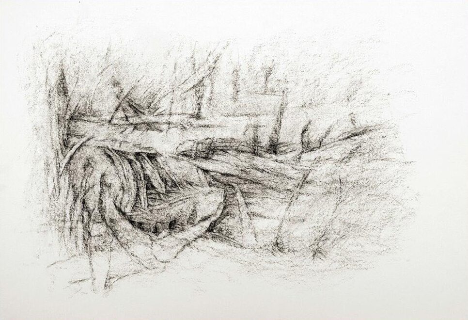 Zeichnung Kohle auf Papier - Michaela Schleunung 2018