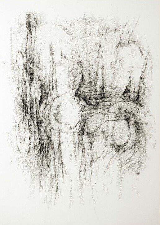 Zeichnung Kohle auf Papier - Michaela Schleunung
