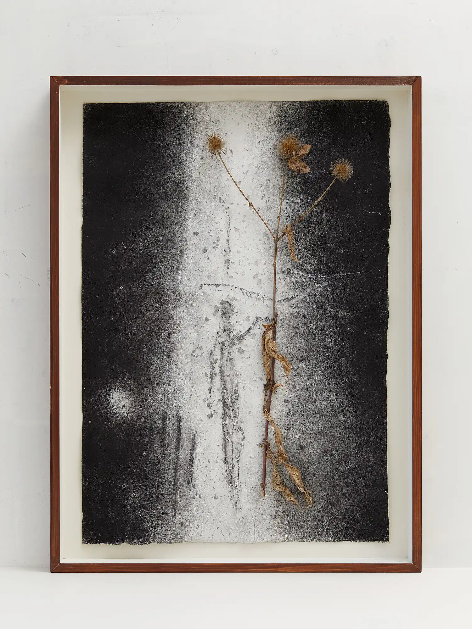 Kasten mit Pastellzeichnung und getrockenter Pflanze